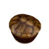 Candle Turtle – L’OBJET